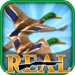 Real Bird Hunting Challenge