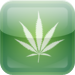 Weed Quiz